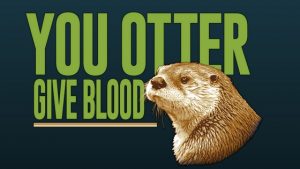 Blood Drive: Tuesday, August 16